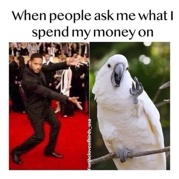 Meet your Posher, Tara - Picture 4 of 10